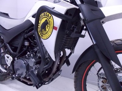 Protetor Motor e Carenagem XT 660R c/ Pedaleiras Chapam