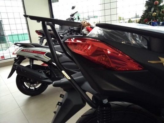 Chapa Suporte Bauleto X-Max 250 2021 Chapam