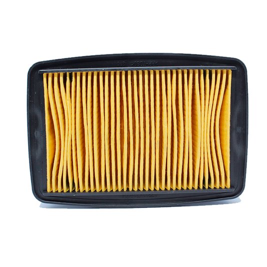 Filtro Ar CB 250 Twister 16/... Athena Parts