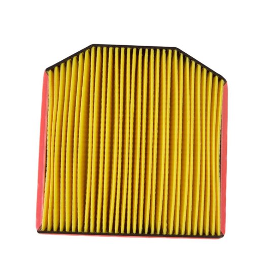 Filtro Ar Tiger 900 Twins