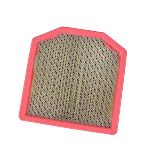 Filtro Ar Tiger 900 Twins