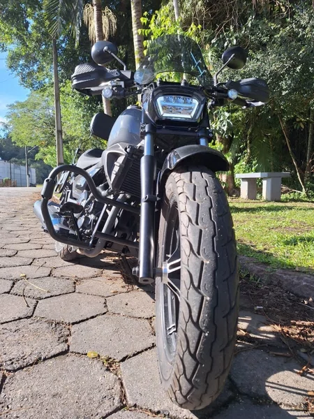 Protetor Dianteiro Shineray Iron 250 2025+ Chapam