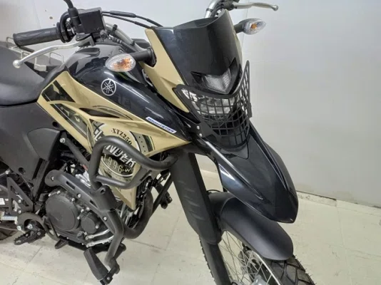 Protetor Farol XTZ 250 Lander 2019 a 2024 Chapam