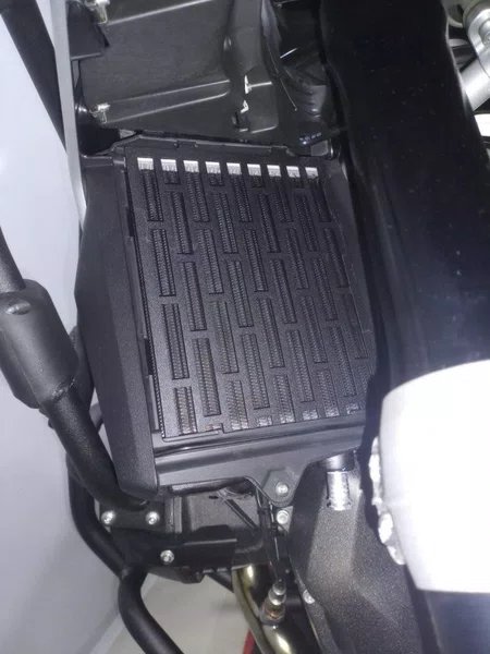 Protetor Radiador BMW R1300 GS Chapam