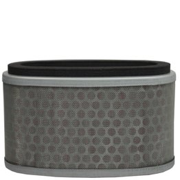 Filtro Ar Shadow 750 06/08 Wega