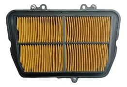 Filtro Ar Tiger 800 XC/XCX/XR/XRX Athena Parts